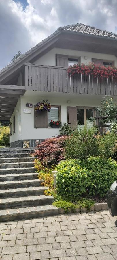 Apartma - Pocitniska Hisa Lodi Bohinj Exteriör bild