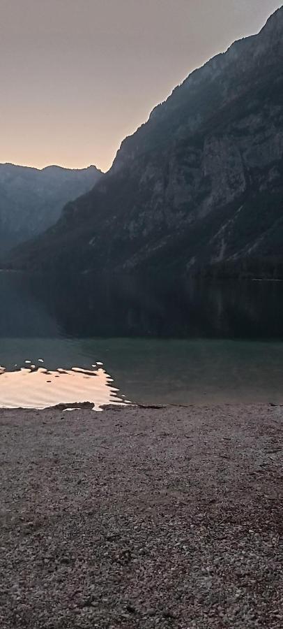 Apartma - Pocitniska Hisa Lodi Bohinj Exteriör bild